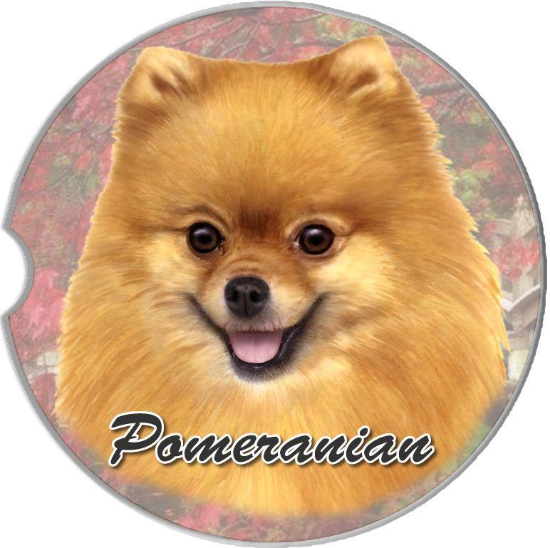 Pomeranian Car Coaster