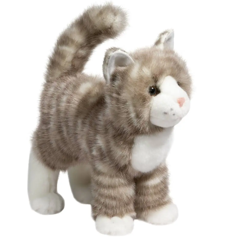 Zipper Gray Tabby Cat