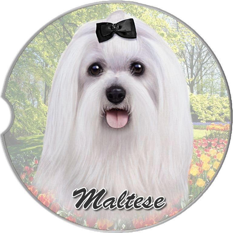Maltese Car Coaster