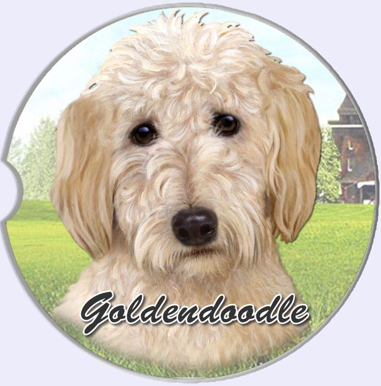 Goldendoodle Car Coaster