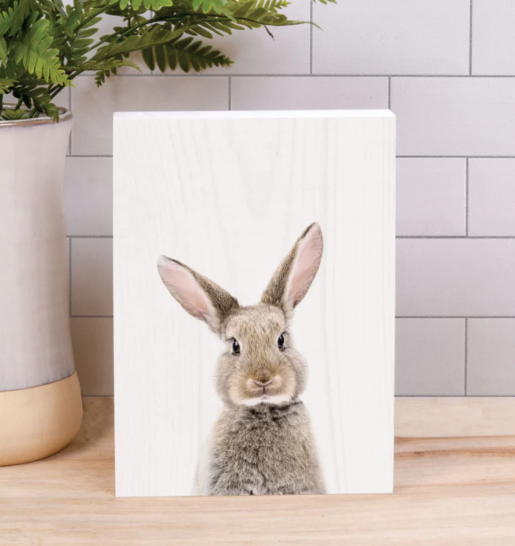 Sitting Rabbit Block Sign