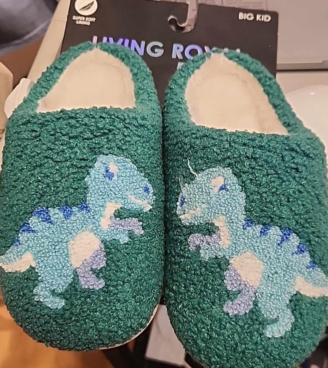 Yth Dino Slippers