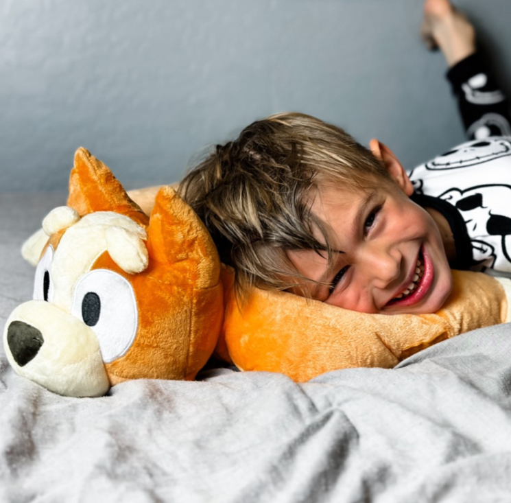 Pillow Pets