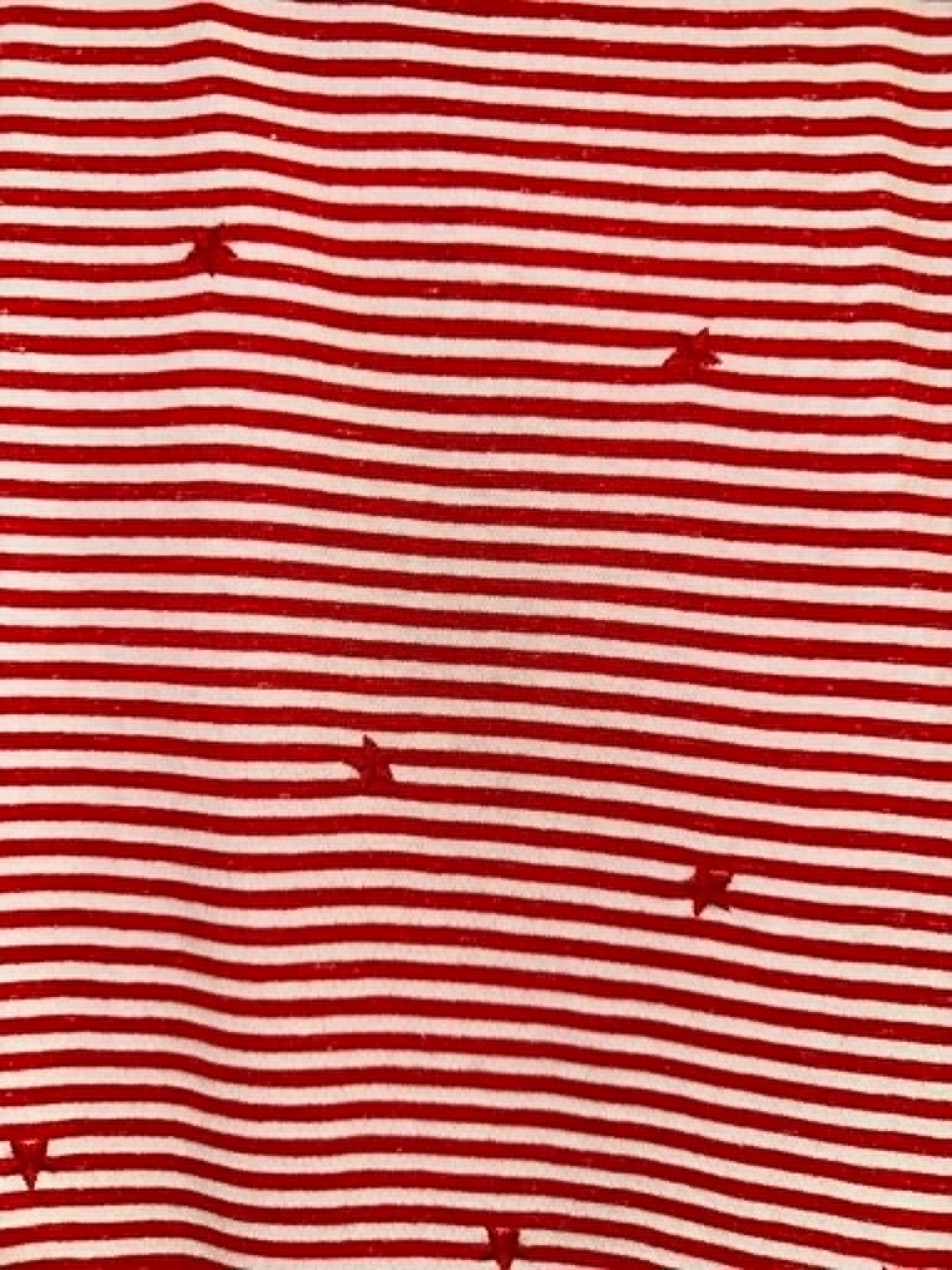 Red Stripe Embroidered Star Covered Tee