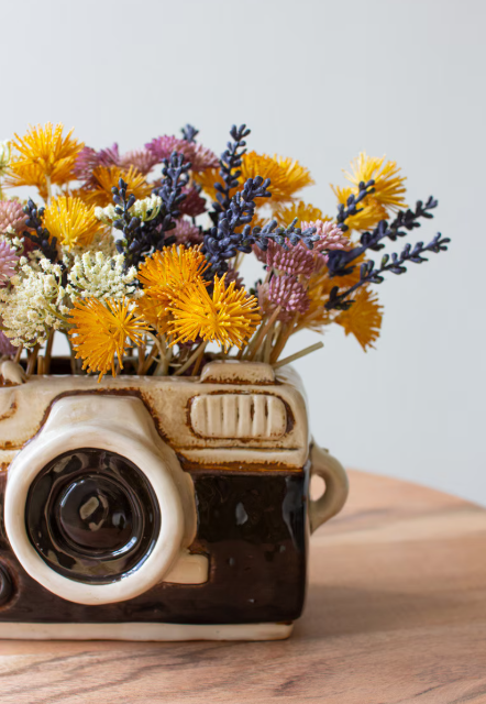 Ceramic Camera Planter