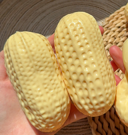 Crunchy Peanut Squishy