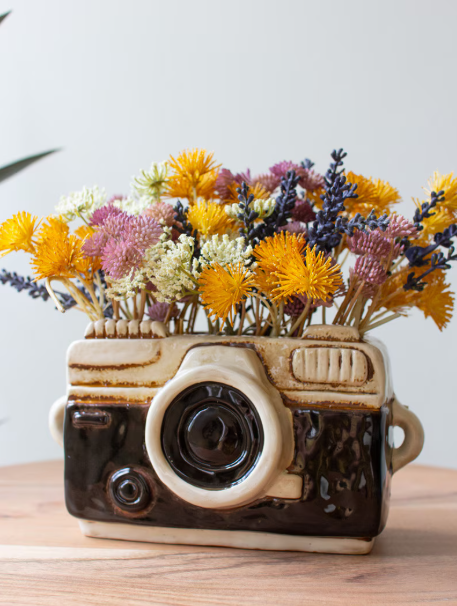 Ceramic Camera Planter