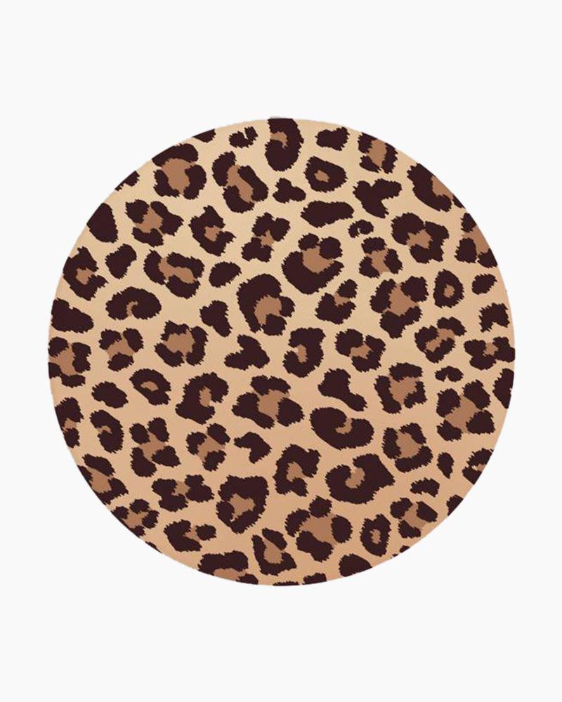 Cheetah Car Coaster