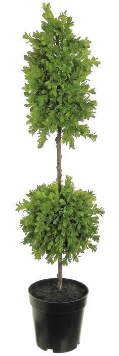 Ball & Cone Boxwood Topiary in Pot