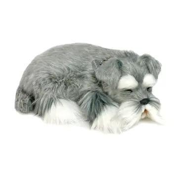 Perfect Petzzz
