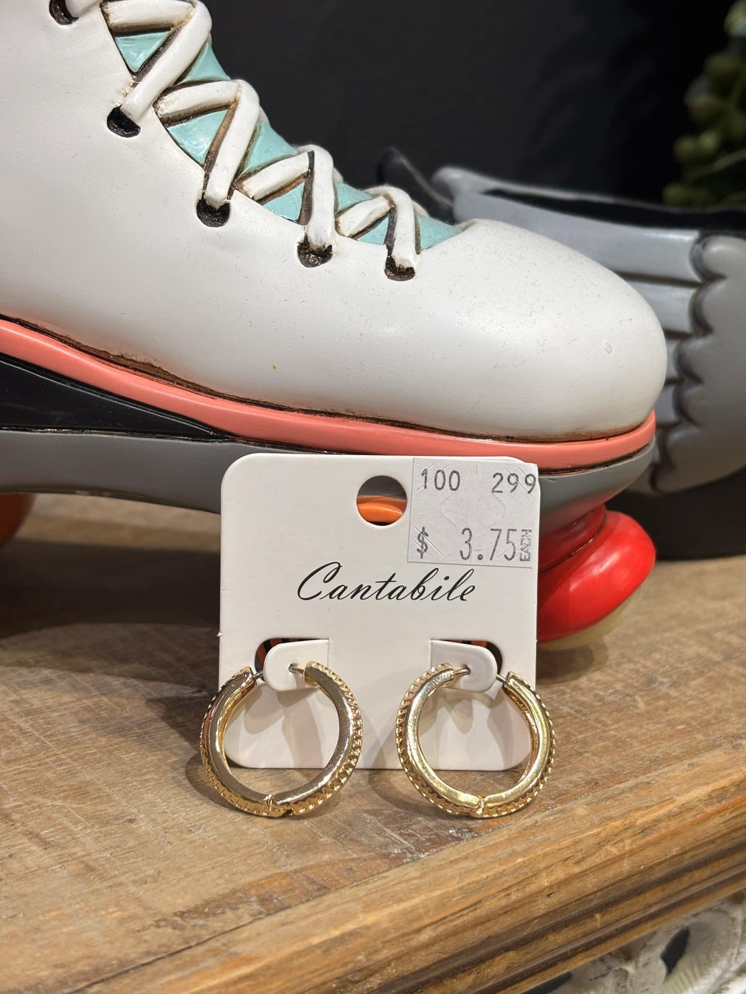 Hoop and Dangle Earrings