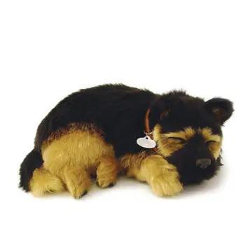Perfect Petzzz Originals