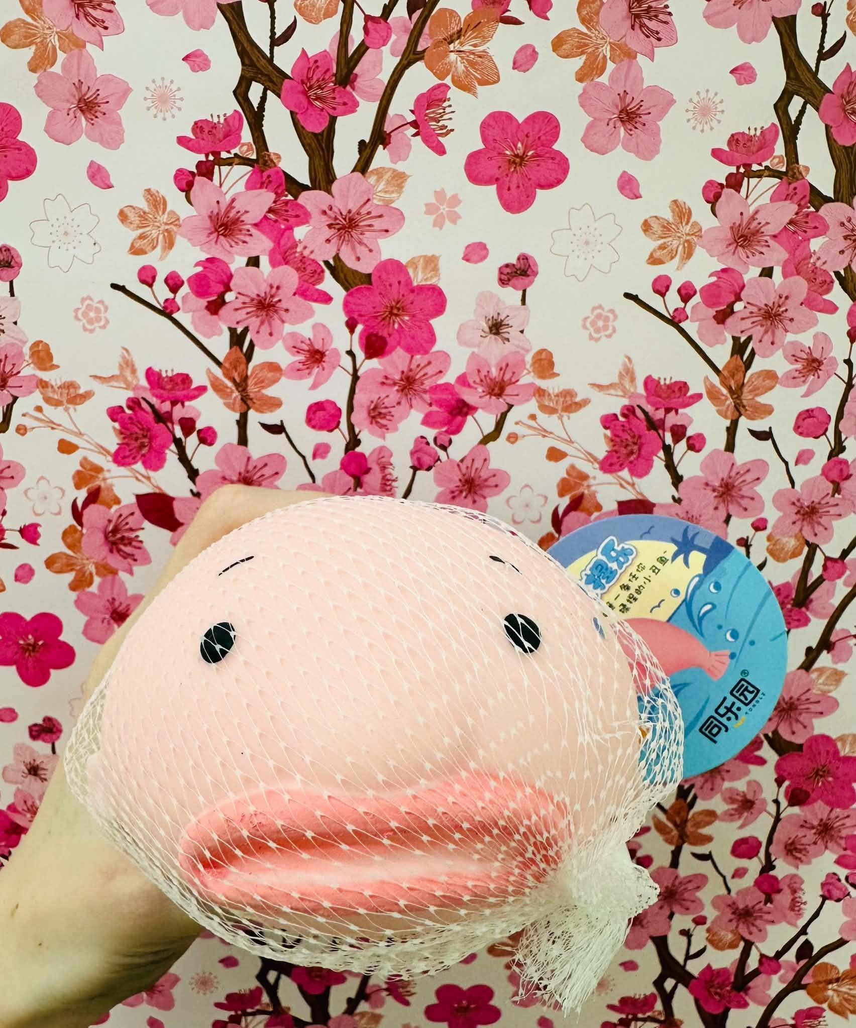 Squishy Blob Fish