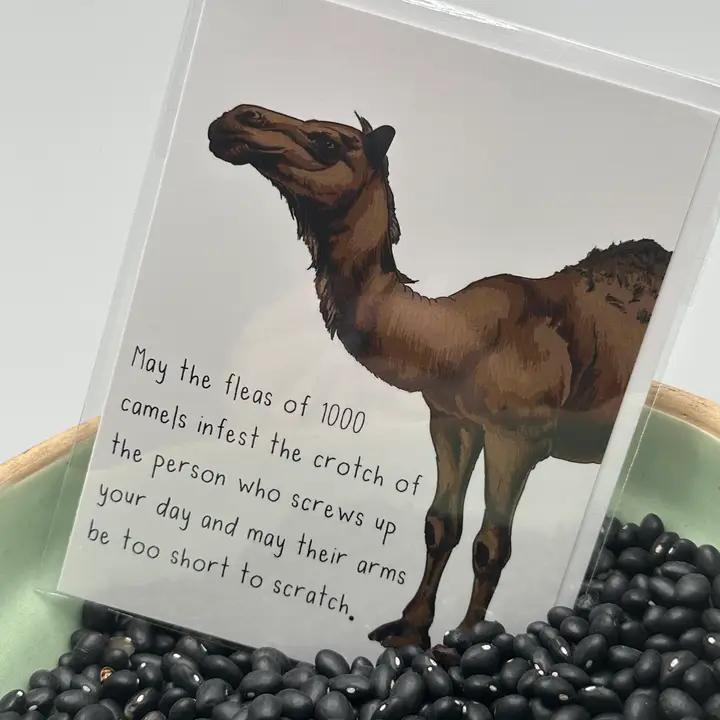 Crooked Halo Greeting Cards