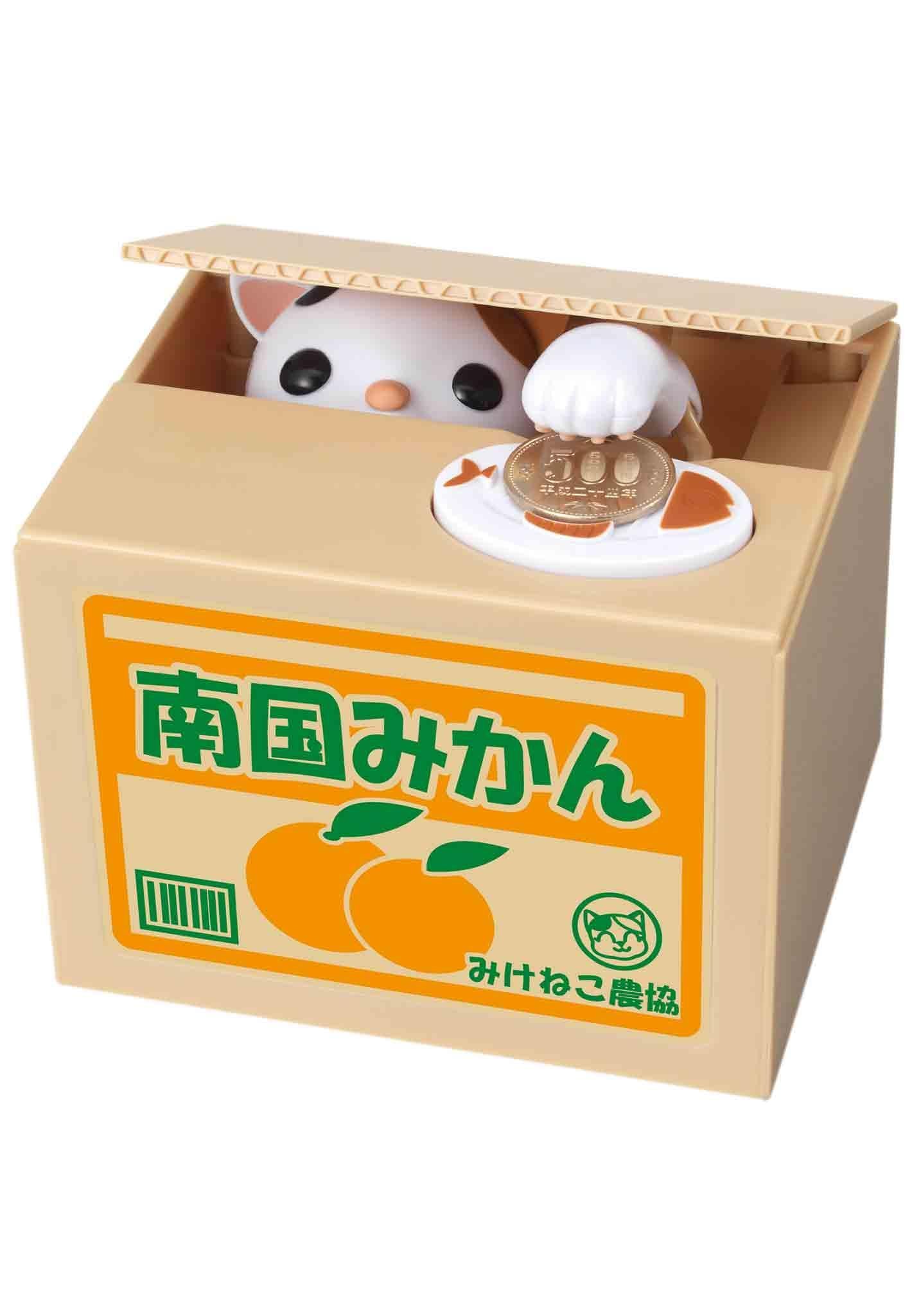 Cat in Box Bank