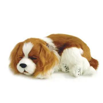 Perfect Petzzz Originals