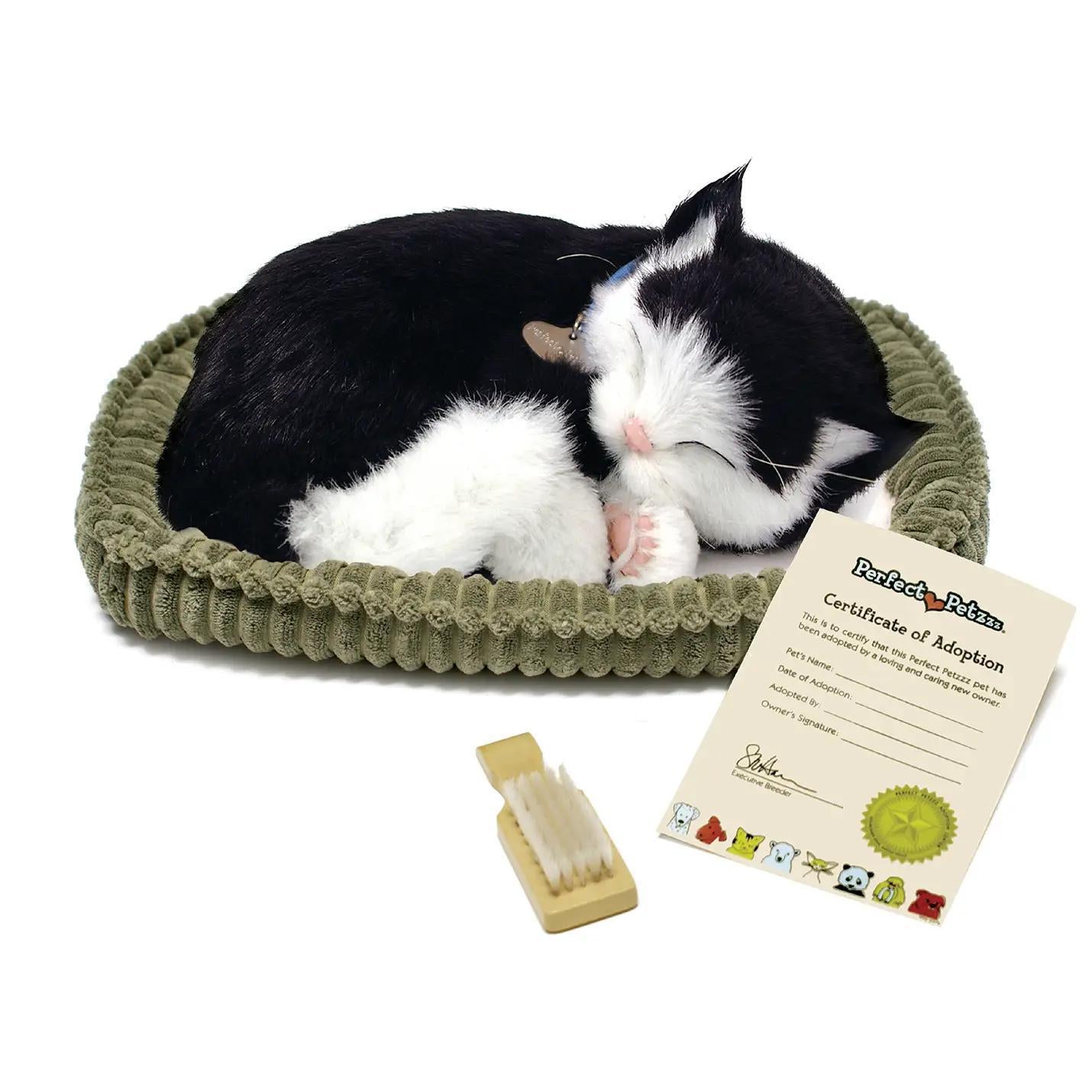 Perfect Petzzz Originals