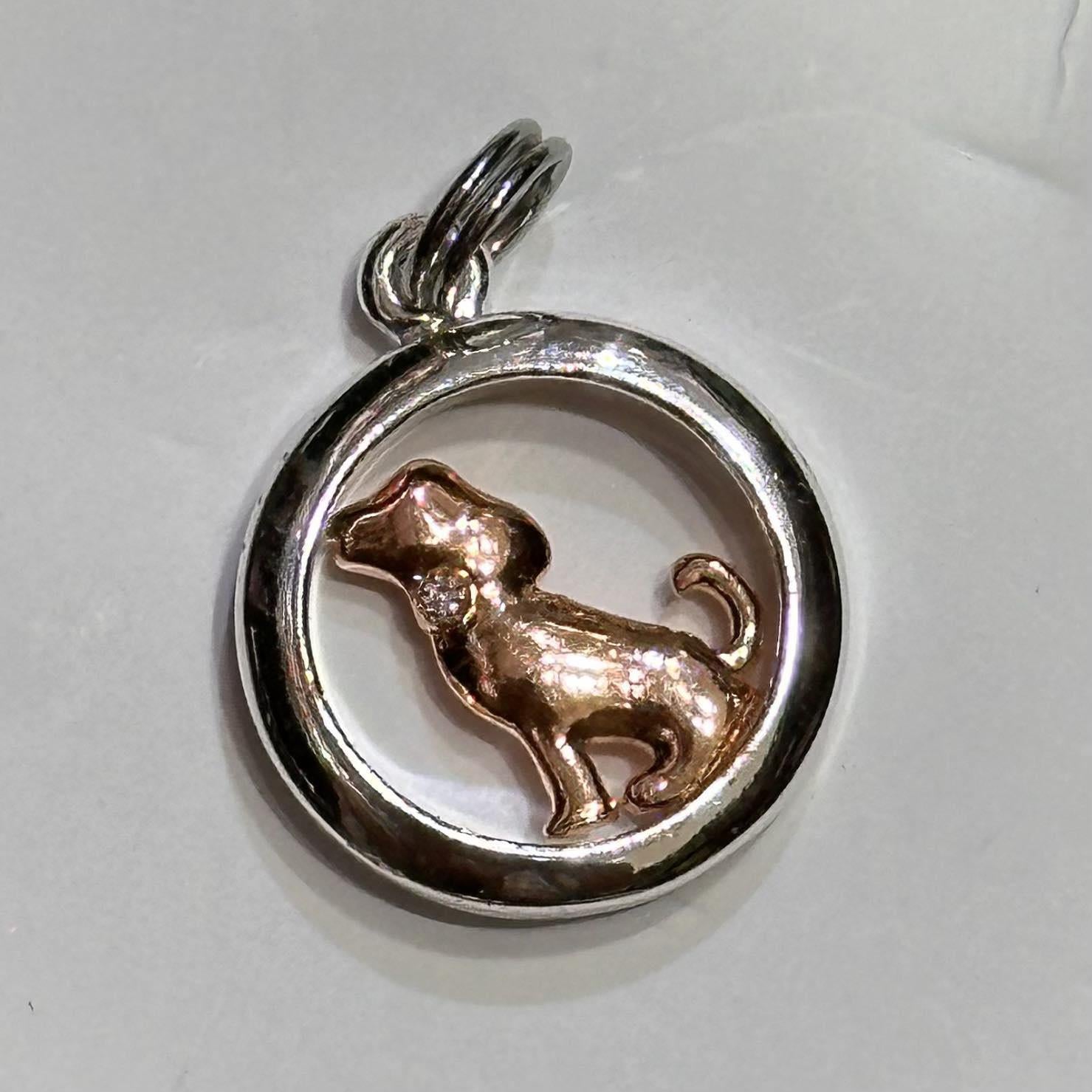 Davinci Charm
