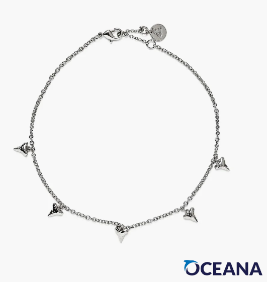 Shark Tooth Chain Anklet