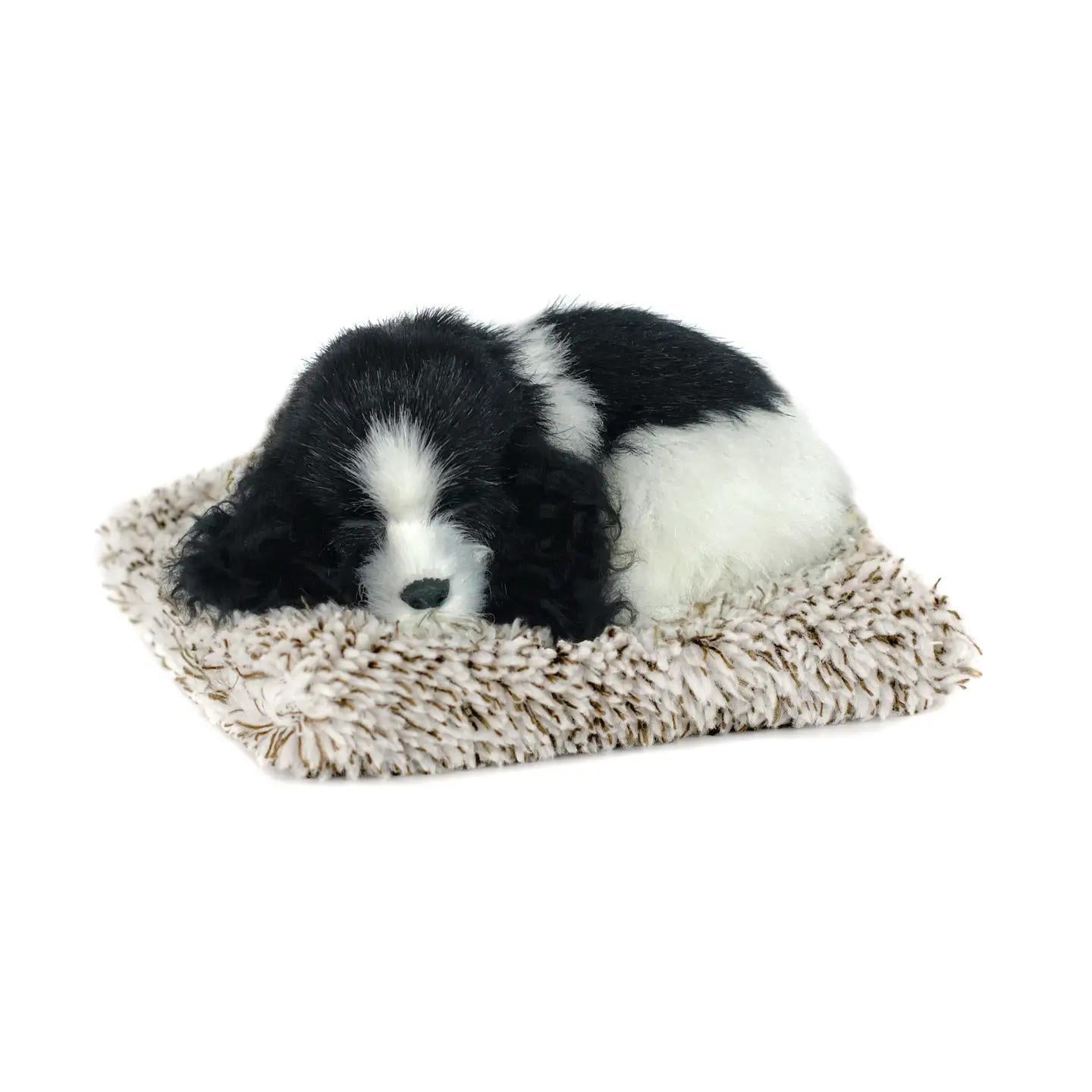 Perfect Petzzz Minis