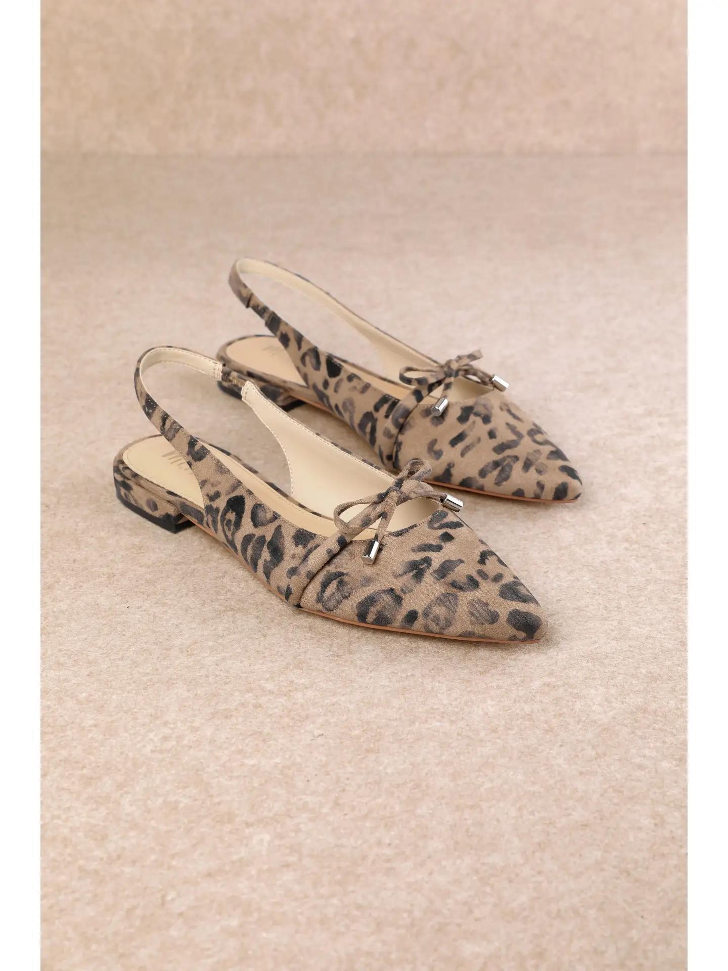 Pardina Leopard Pointes