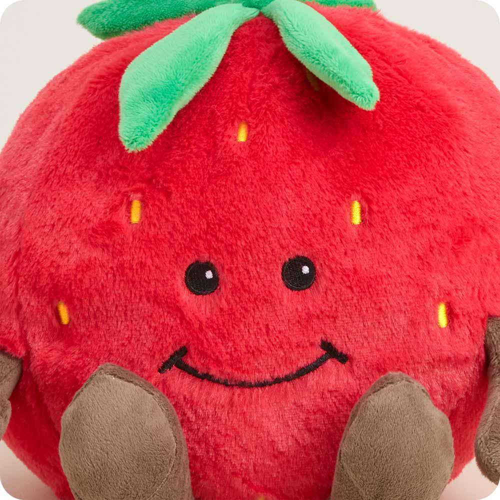 Strawberry Warmies