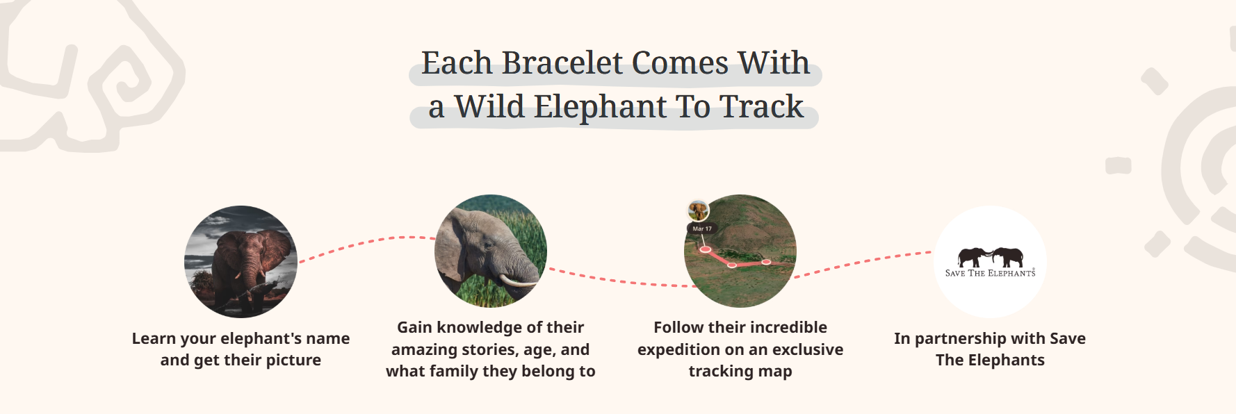 Fahlo - The Expedition Bracelet