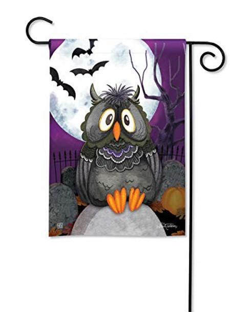 Moonlight Owl Garden Flag