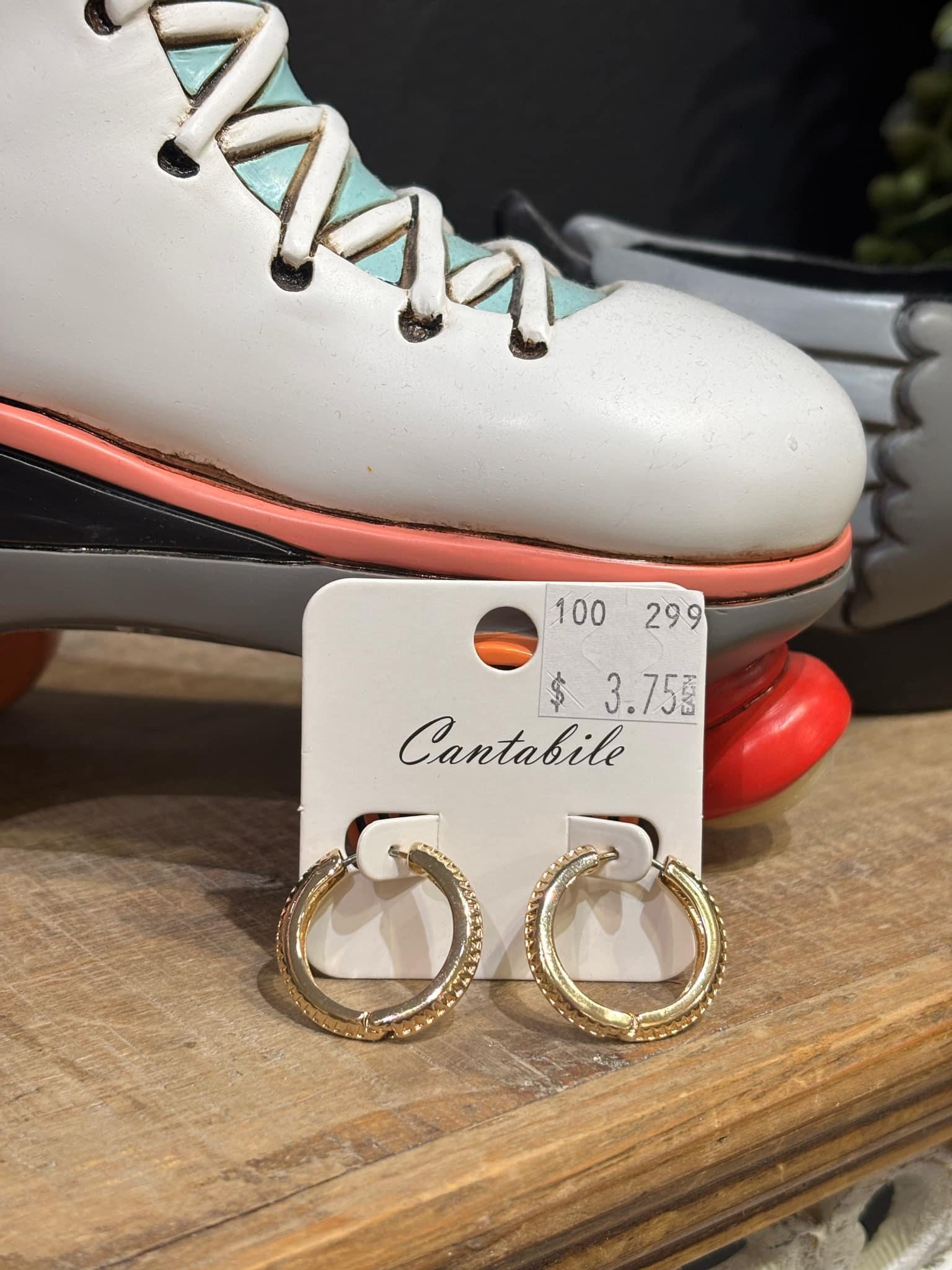 Hoop and Dangle Earrings
