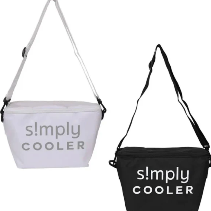 Simply Tote Insert