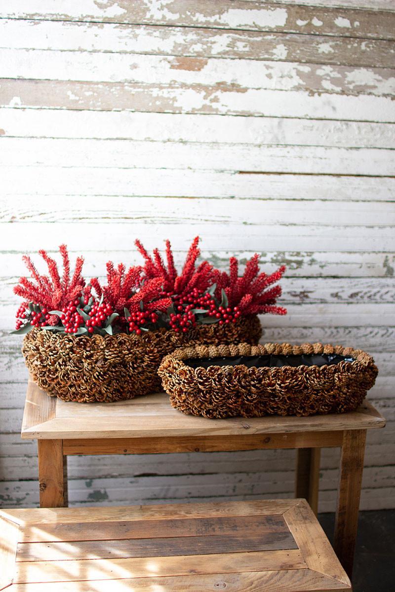 Pinecone Planter