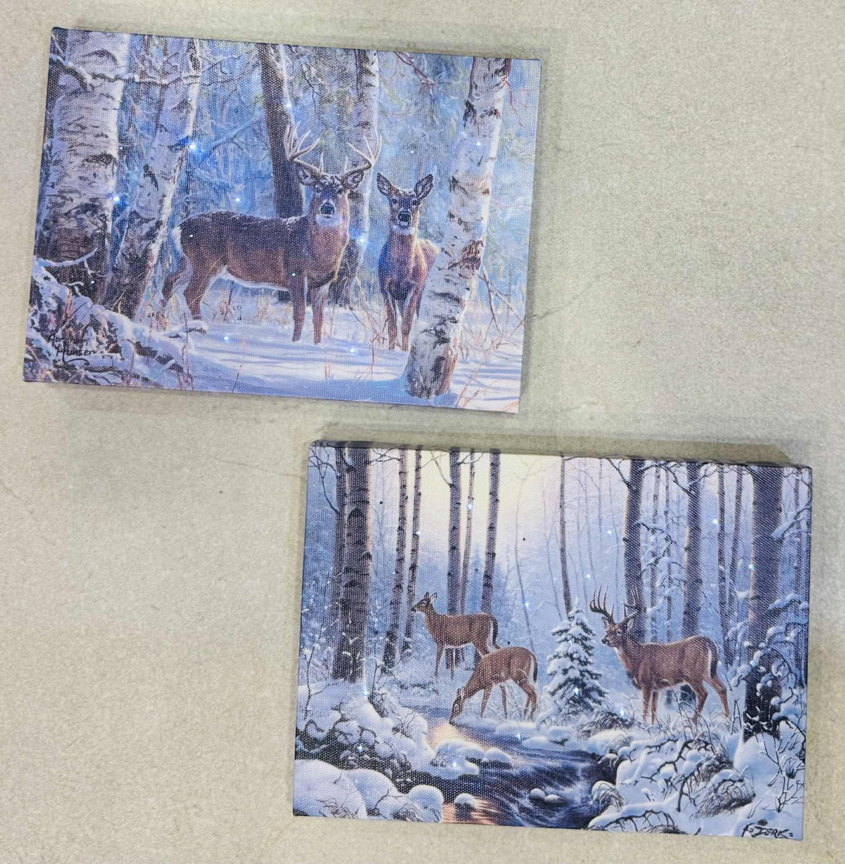 Lighted Deer Picture