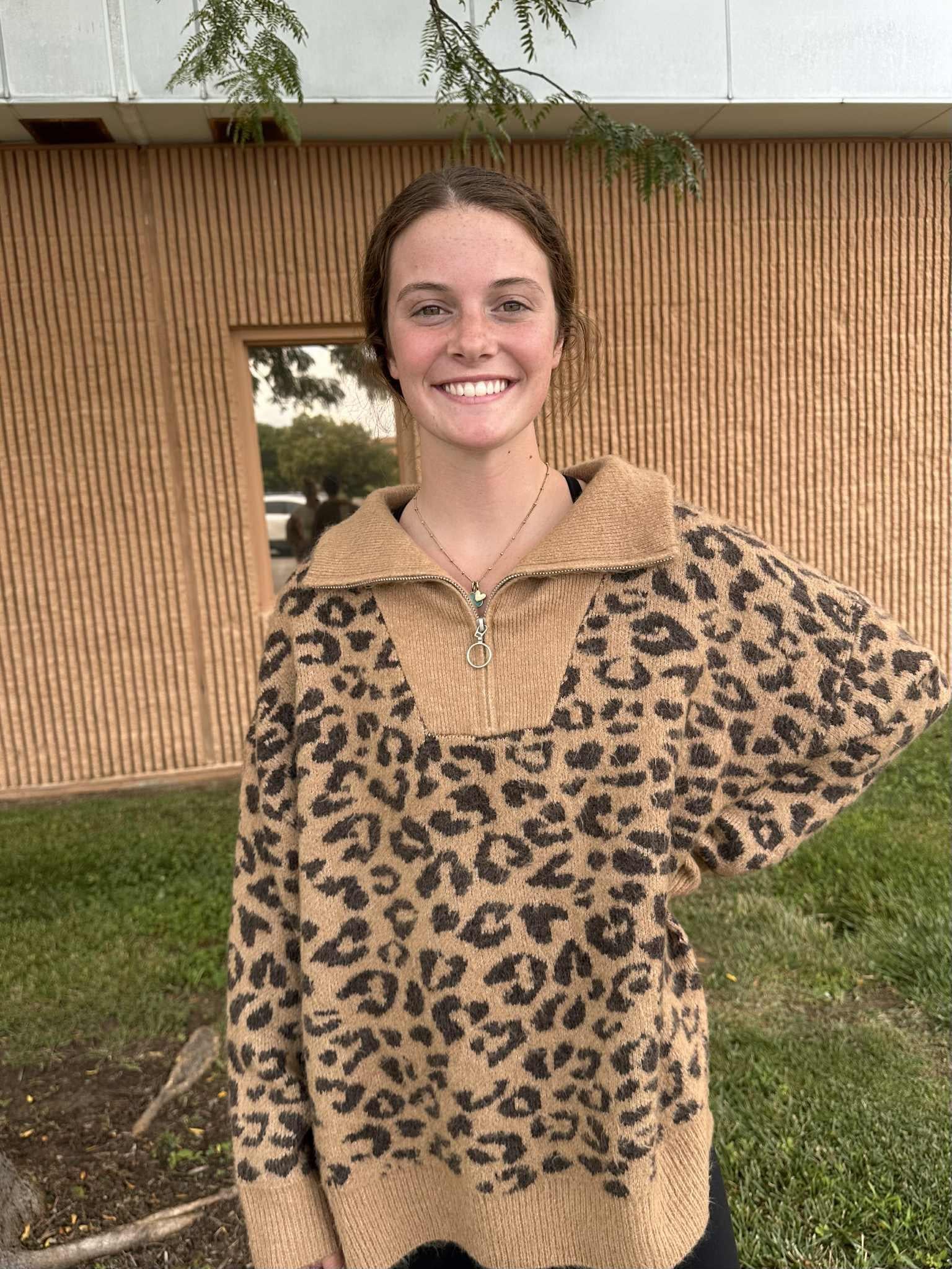 Leopard Pullover