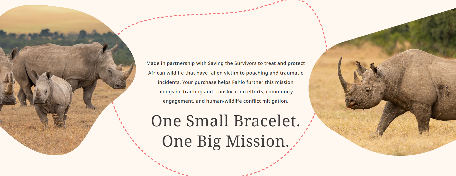 Fahlo - The Charge Bracelet