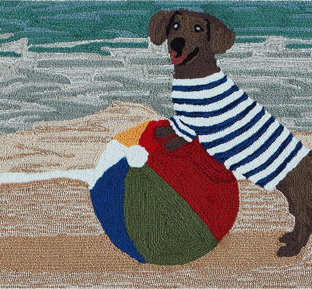 Coastal Dog Ocean Matt