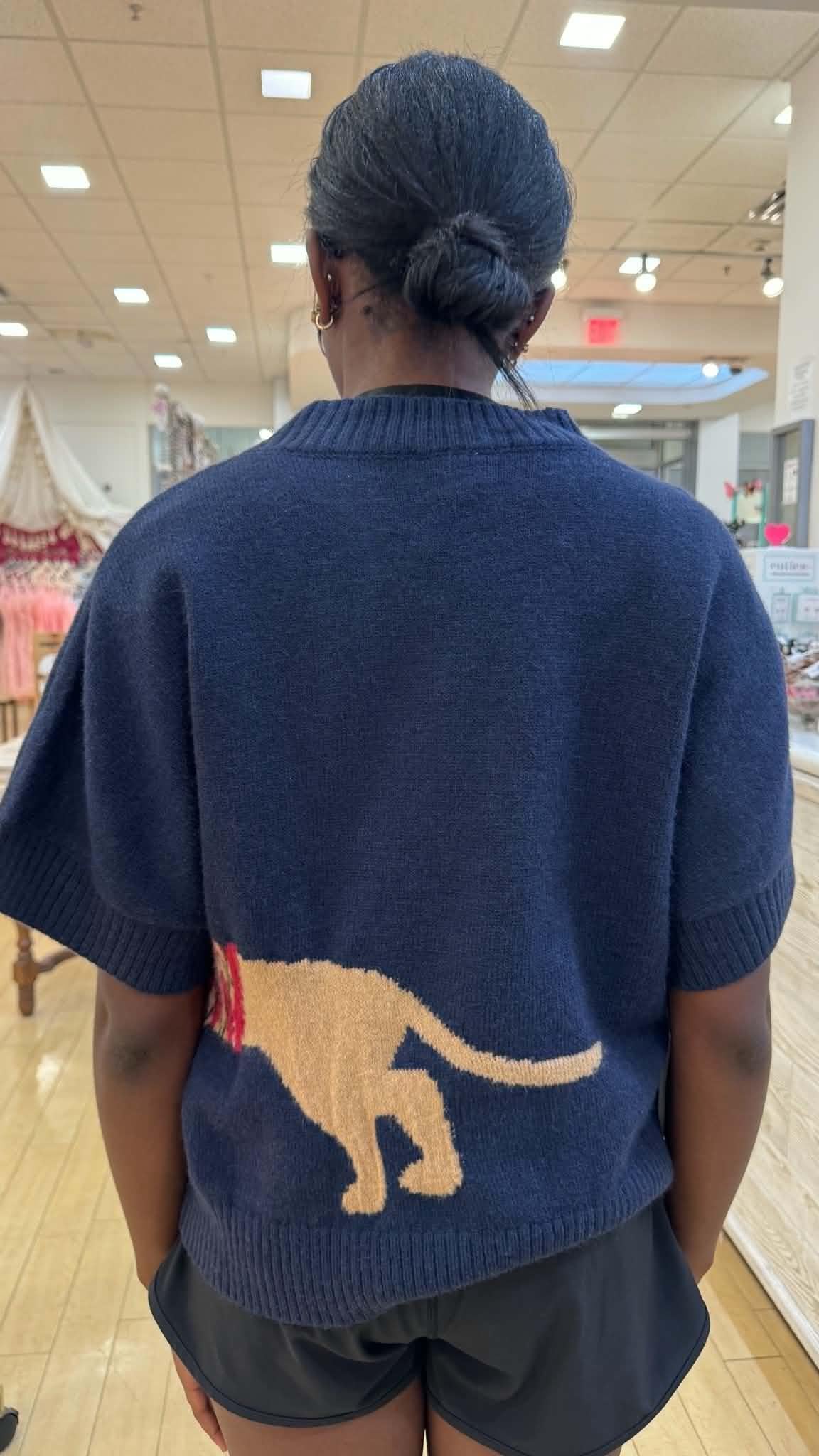 Weiner Dog Sweater Short Sleeve Sweater Top