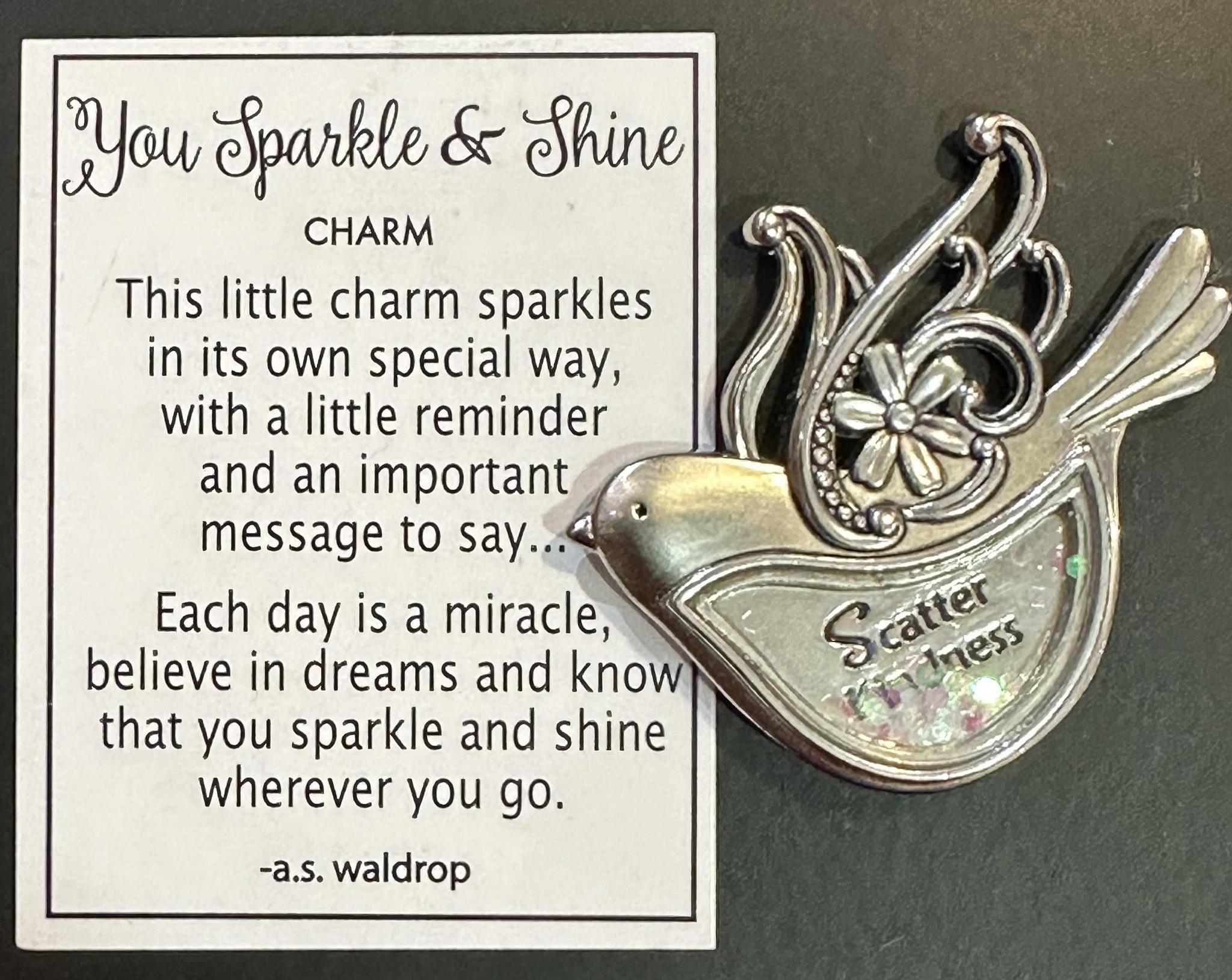You Sparkle & Shine Poket Token