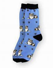Australian Shepherd Socks