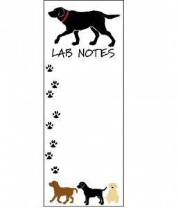 Little Blue House Lab Notes Magnetic Pad