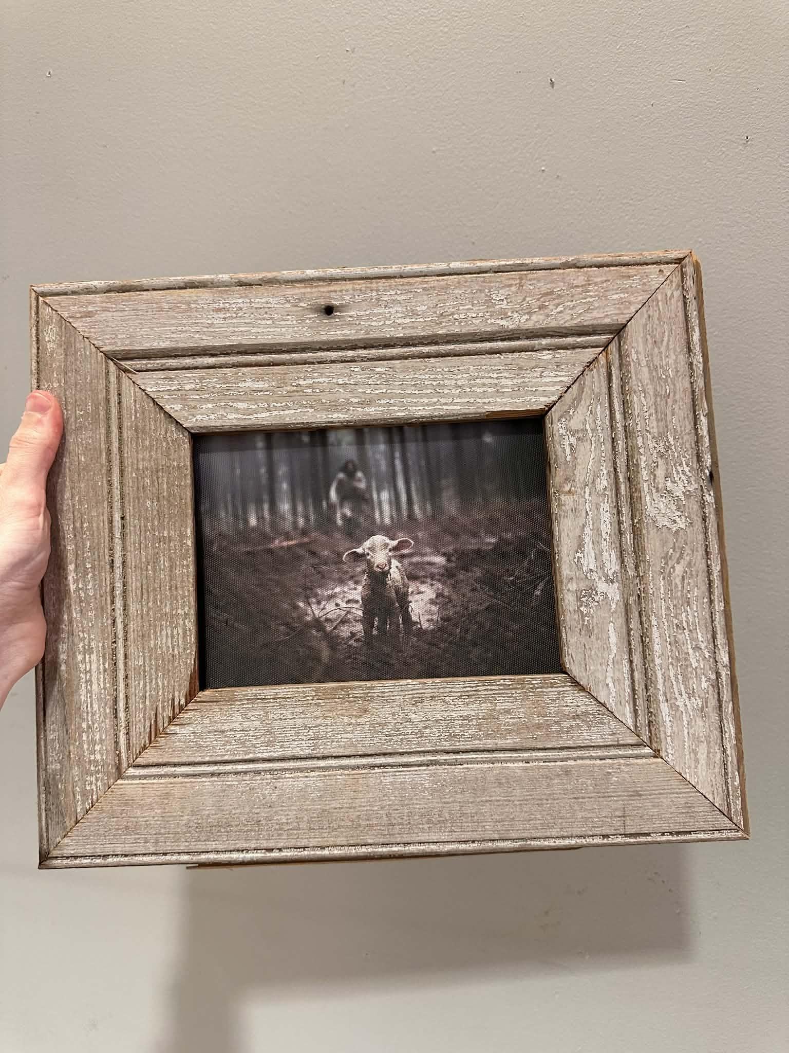 Sunday Paper - Parable of The Lost Sheep Picture