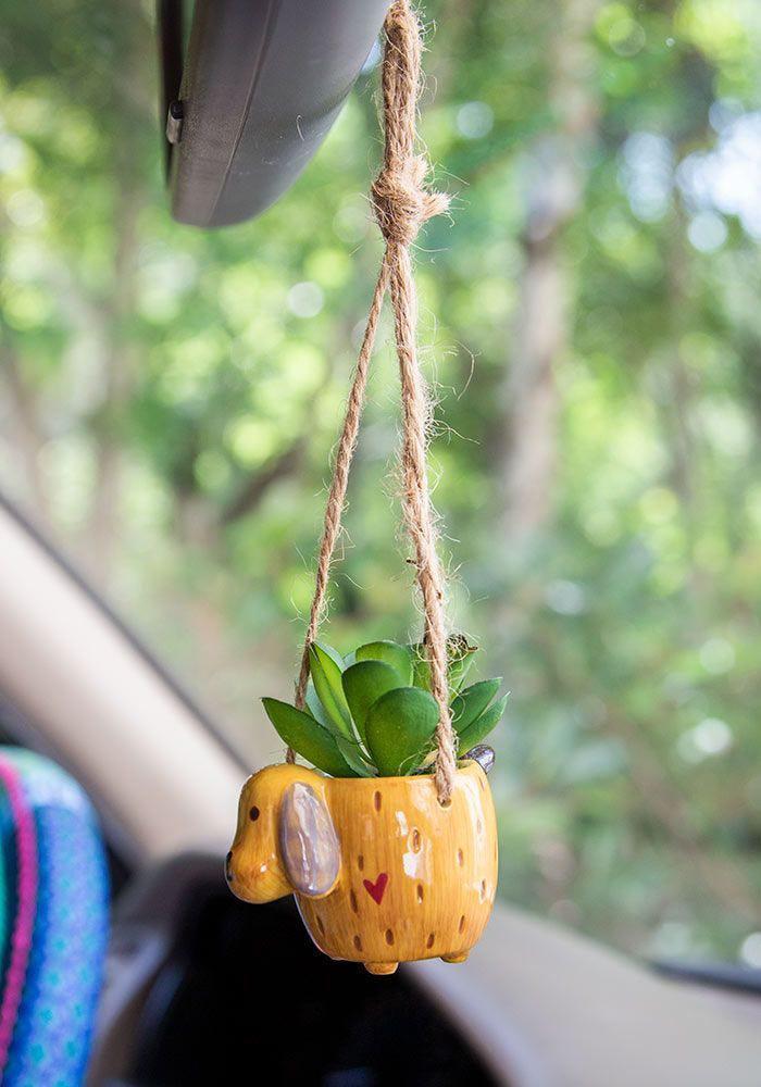 Dog Critter Hanging Succulent