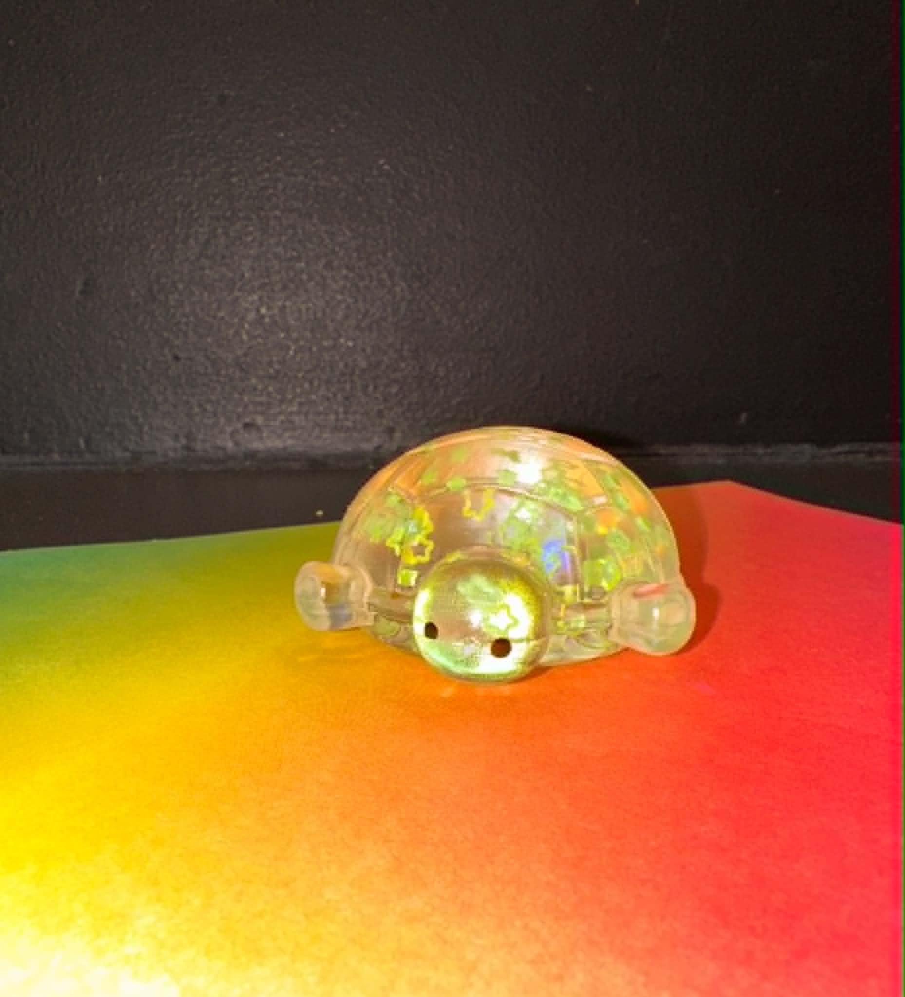 Sugar Glitter Turtle