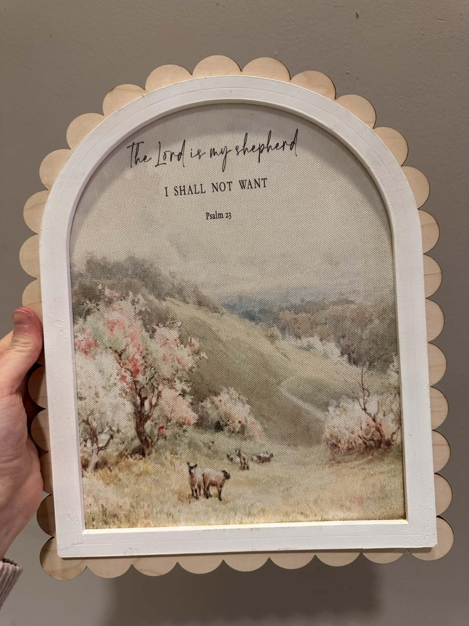 Sunday Paper Scalloped Window Pictures