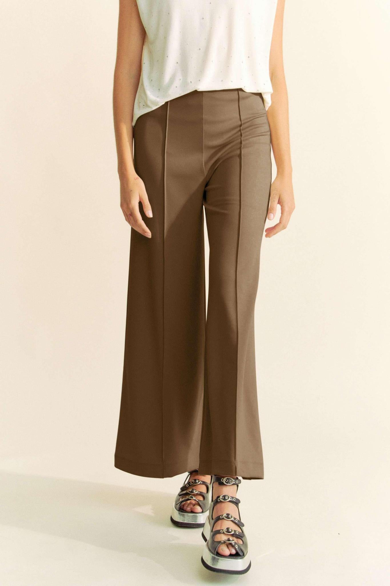 Ash Brown Pleated Pants