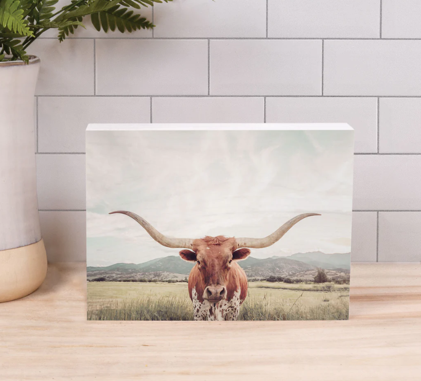 Longhorn Wood Block Sign