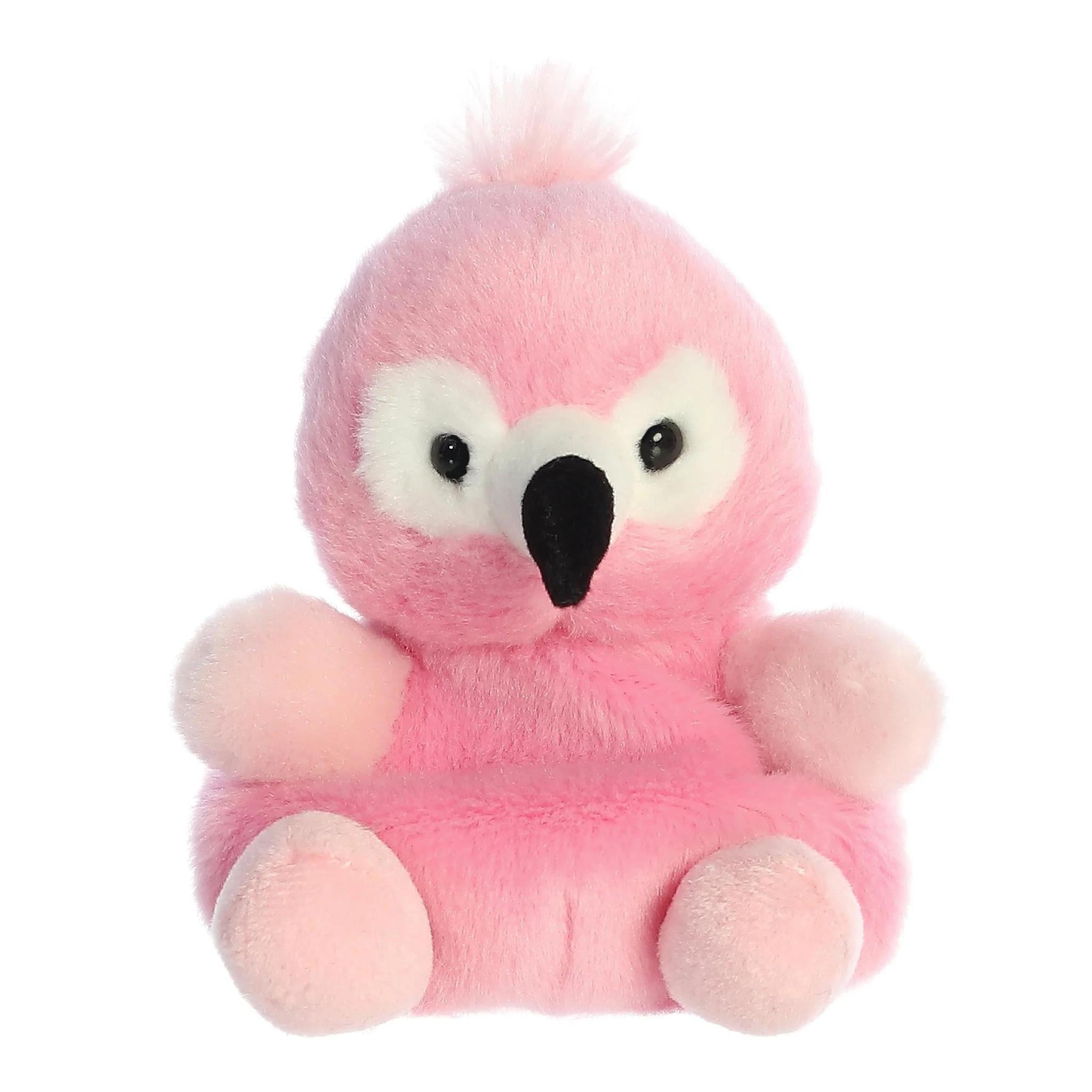 Aurora® - Palm Pals™