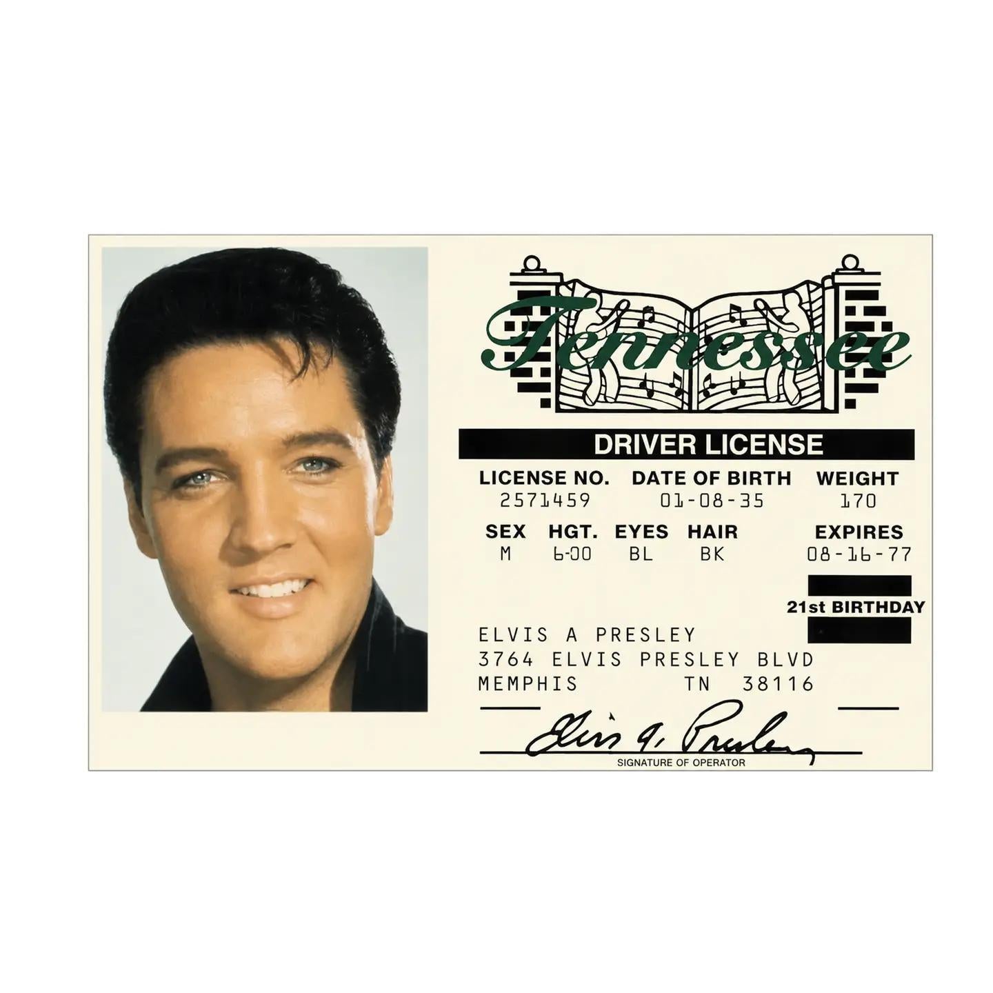 Elvis Magnet
