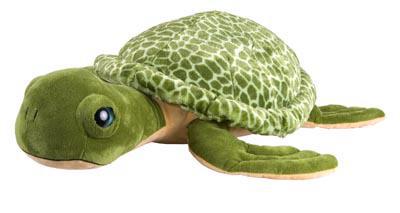 Wild Onez Sea Turtle
