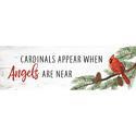 Message Bar Cardinals Appear