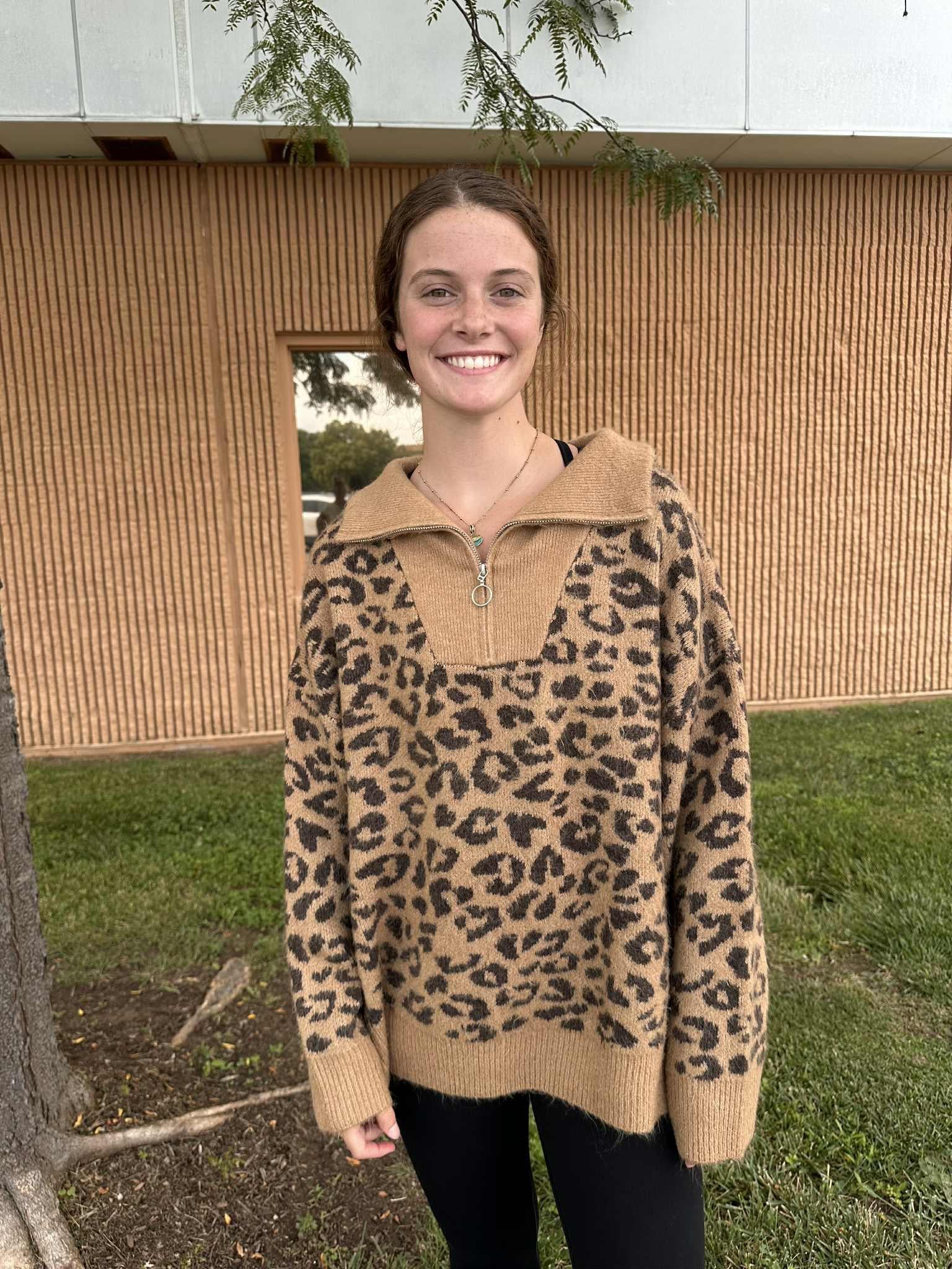 Leopard Pullover